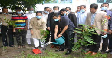 BFF celebrates  PM Sheikh Hasina’s birthday through plantation 