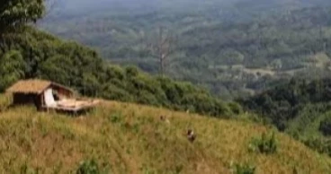 Five CU students freed a week after abduction in CHT