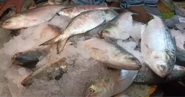 Chicken, Hilsa get pricier ahead of Pahela Baishakh