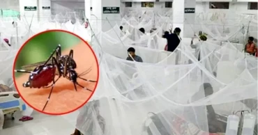Dengue: 2 die, 157 hospitalised in 24 hours