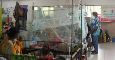 Year’s dengue death toll hits 50