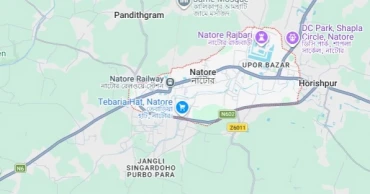 Suspected rapist beaten by locals, handed over to police in Natore