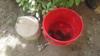 13 bomb-like objects recovered in Bhola