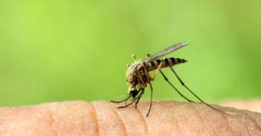 100 new dengue patients hospitalised in 24 hrs