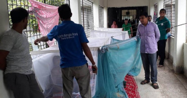 2 dengue patients hospitalised in 24 hrs