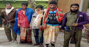 Three deer poachers arrested in Sundarbans