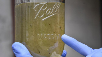 UN: Don't worry about drinking microplastics in water