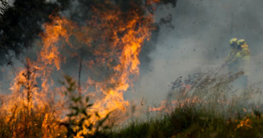 Bushfire smoke from Australia covers sky of New Zealand's Auckland