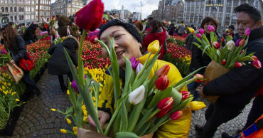 Away winter blues! Netherlands marks National Tulip Day