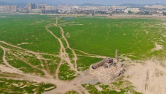 Unsustainable crop production methods deplete Ghana's virgin forests: research