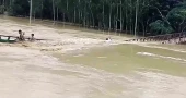শেরপুরে পাহাড়ি ঢলে বেইলি সেতু বিধ্বস্ত, যোগাযোগবিচ্ছিন্ন কয়েক গ্রামের মানুষ