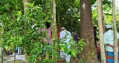 ফতুল্লায় গ্যাস বিস্ফোরণ: পরিবারটির বাঁচল না কেউ, গ্রামের বাড়িতে দাফন