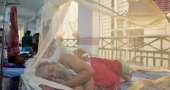ডেঙ্গুতে ২৪ ঘণ্টায় ৭ মৃত্যু, হাসপাতালে ১,৮৭২