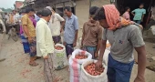 ফরিদপুরের পাইকারি বাজারে পেঁয়াজের ঝাঁজ