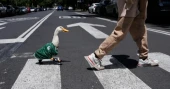 Meet Merlin the duck: Mexico’s street bird becomes unofficial World Cup mascot