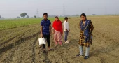 BGB foils BSF attempt to push in four people along Kushtia border