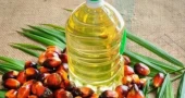 Govt cuts palm oil price, soybean oil price unchanged