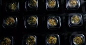 Brazil uses forensic technology to trace gold and fight illegal mining in the Amazon
