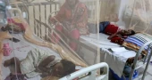 Dengue death toll hits 133 as 3 die in 24 hours