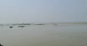Chandpur fishery ghat falls silent as 22-day hilsa ban begins