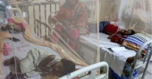 Two more die of dengue in 24 hours