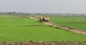 Illegal topsoil extraction threatens ‘Gaillar Haor’, croplands in Sunamganj