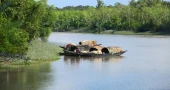 Sundarbans reopens after three-month fishing, tourism ban