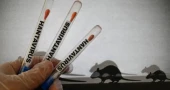 What we don’t know about the hantavirus