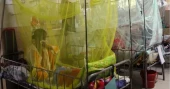 Dengue: Year’s death toll stands at 111 as 4 more die