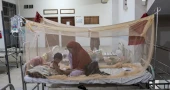 Dengue death toll rises to 13; 198 hospitalised in a day