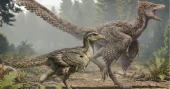 New Jurassic bird fossil offers fresh clues to how birds evolved shorter tails