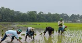 Kushtia farmers upset over canal blockage, fear permanent waterlogging