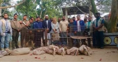74 wild animals rescued from Swapnopuri Park in Dinajpur