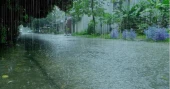 Heavy rains likely in three divisions