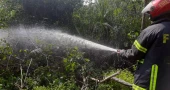 Firefighters contain 95% of Sundarbans fire