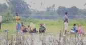 Border standoff: 10 stranded in Panchagarh for over 36 hours