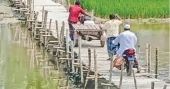 Life on hold: 50,000 Rangpur people pay price for missing bridge