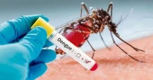 3 more die of dengue, 372 hospitalised