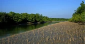  Pirate panic forces 10,000 Sundarbans fishermen to halt fishing