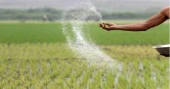 Agriculture Minister denies fertiliser shortage, says disruptions 'part of conspiracy'