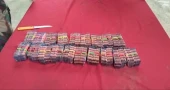 BGB seizes 4,000 Indian Tapentadol tablets in Lalmonirhat