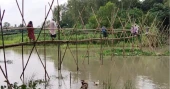 25 Manikganj villages rely on fragile bamboo bridge for daily travel