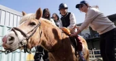 Horse therapy brings joy and support to children with disabilities in Taiwan