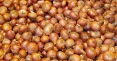 Bangladesh’s overheated onion market costs consumers Tk 3.5 crore more every day