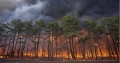 Wildfire in New Jersey Pine Barrens expected to grow before it's contained, officials say