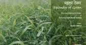 AFD to host Suborno Chakraborty Tonmoy’s debut solo exhibition ‘Splendor of Green’