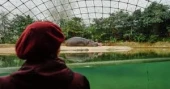 Berlin Zoo offers special dementia-friendly tours, bringing joy to visitors and families