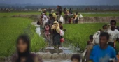 Dulu urges justice for crimes against Rohingyas