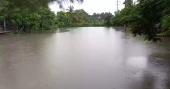 Heavy rains lash coastal areas as low intensifies into monsoon depression