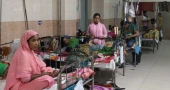 Heavy rains, waterlogging heighten dengue risk in Dhaka